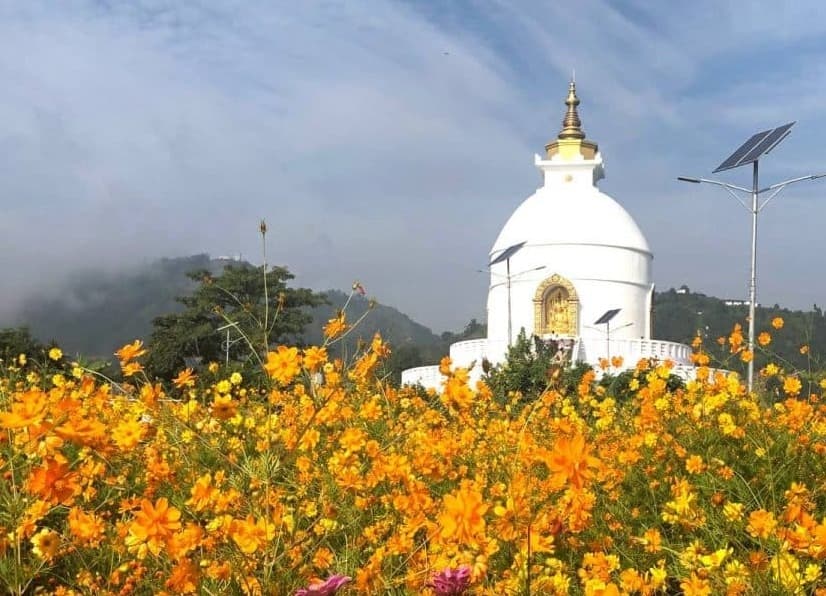 Best Things To Do In Pokhara