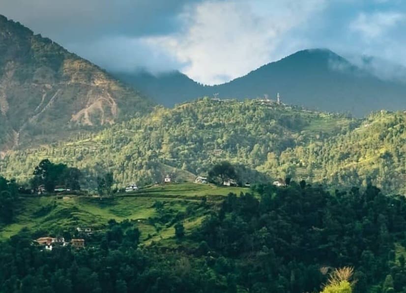 Climate Emergency Declaration