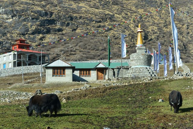 WhatsApp Image 2025 11 15 at 19.31.00 583f3434