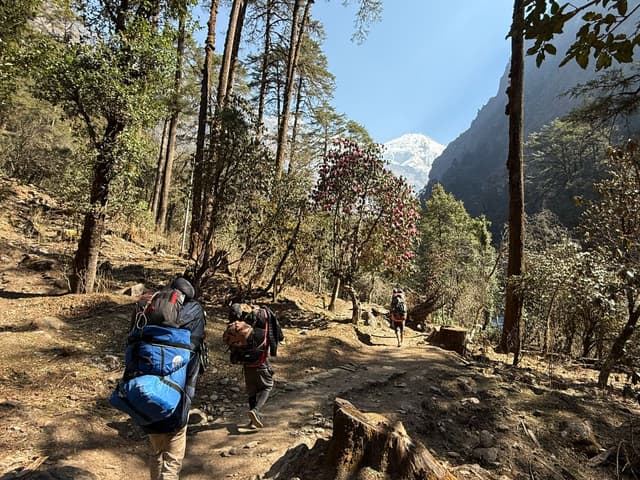 WhatsApp Image 2025 11 15 at 19.30.56 e7a8fa98