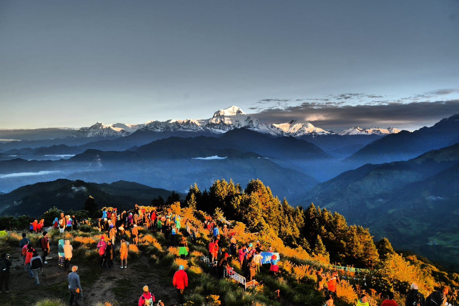 WhatsApp Image 2025 08 20 at 05.35.22 a56ace0d