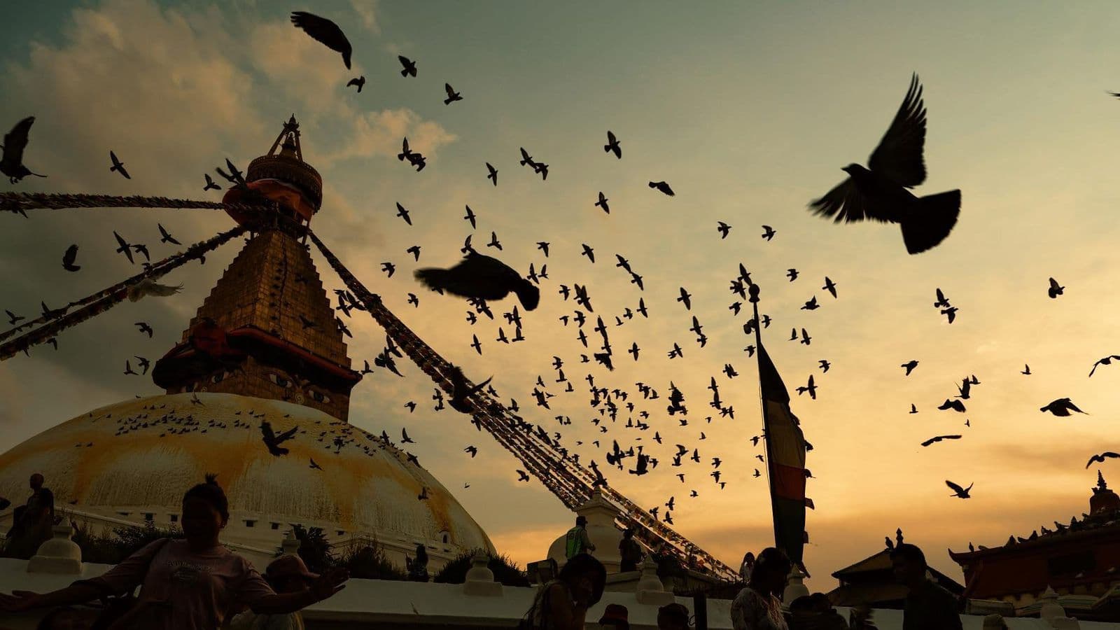 WhatsApp Image 2025 08 23 at 00.53.08 75f92f5a