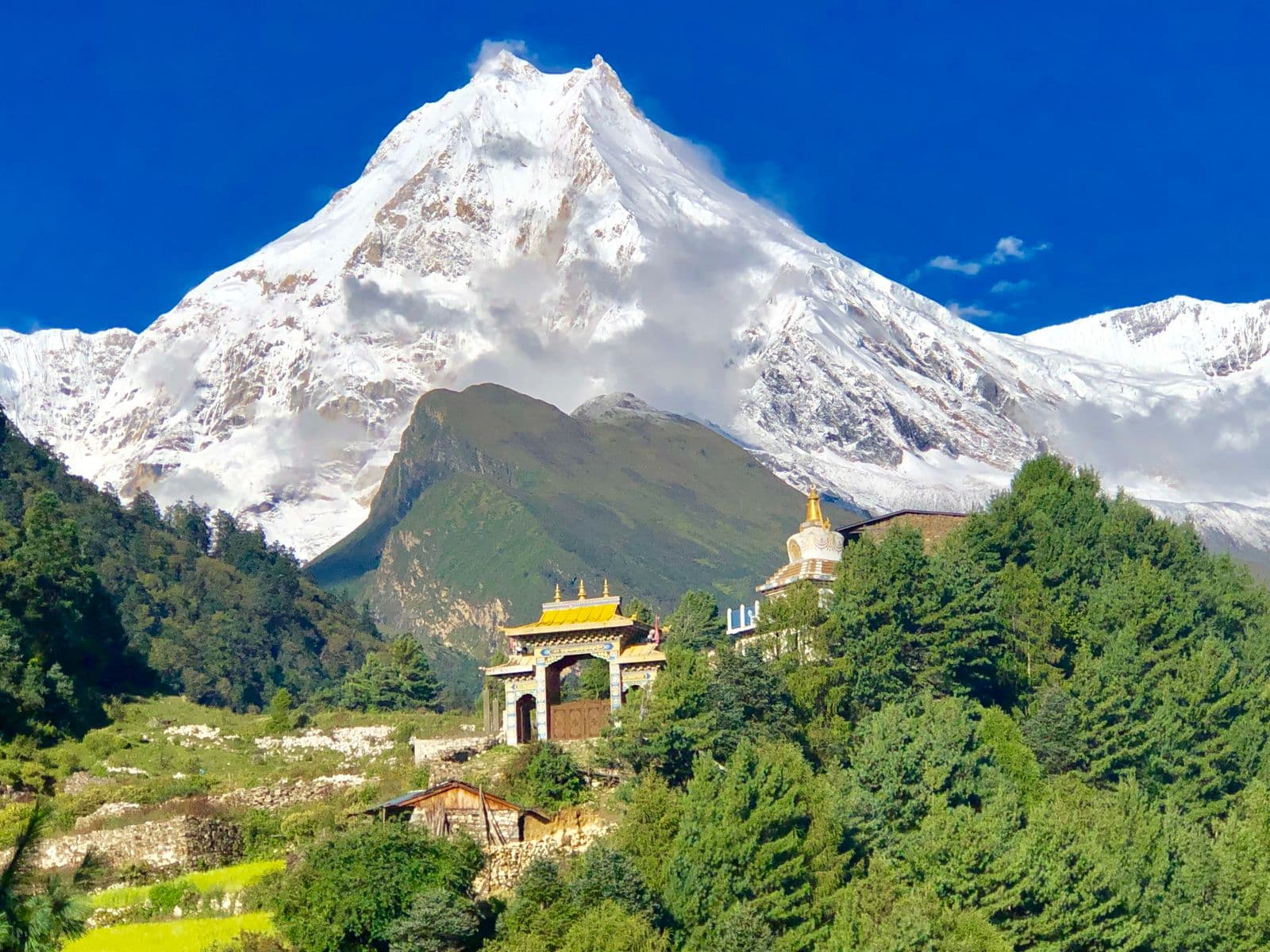 WhatsApp Image 2025 08 25 at 00.47.47 701130f0