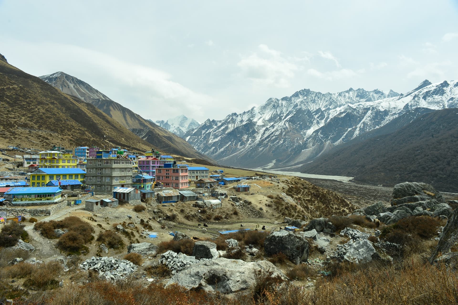 Langtang Mountain Views